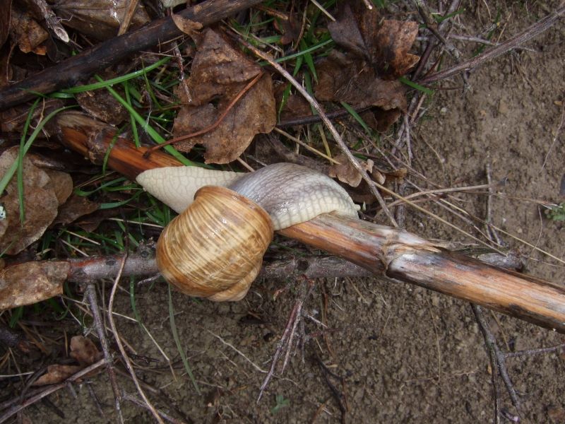 p0470g1889.jpg (large)