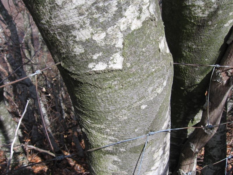 p0510x6028.jpg (large)