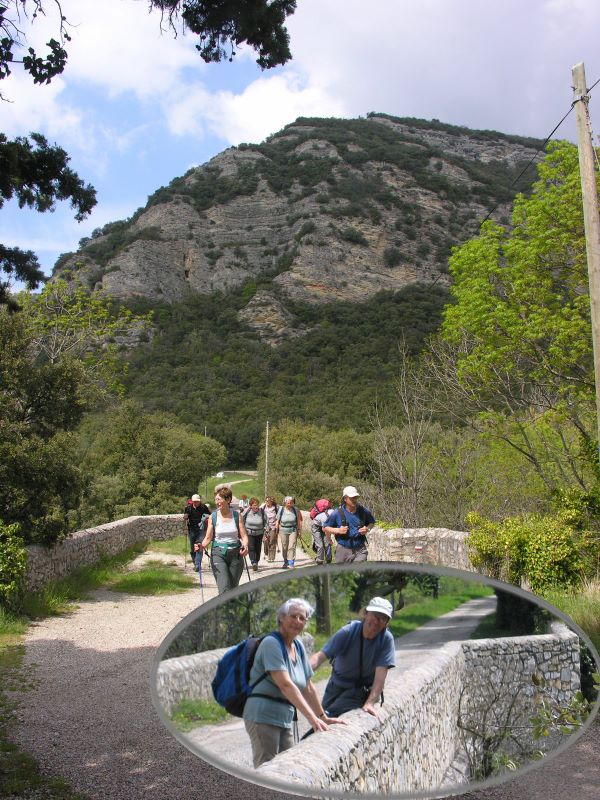 p0630cpont23__7_.jpg (large)