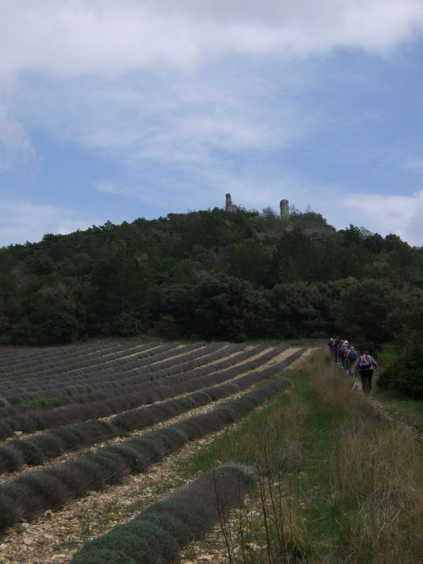 p0640g1947.jpg (large)