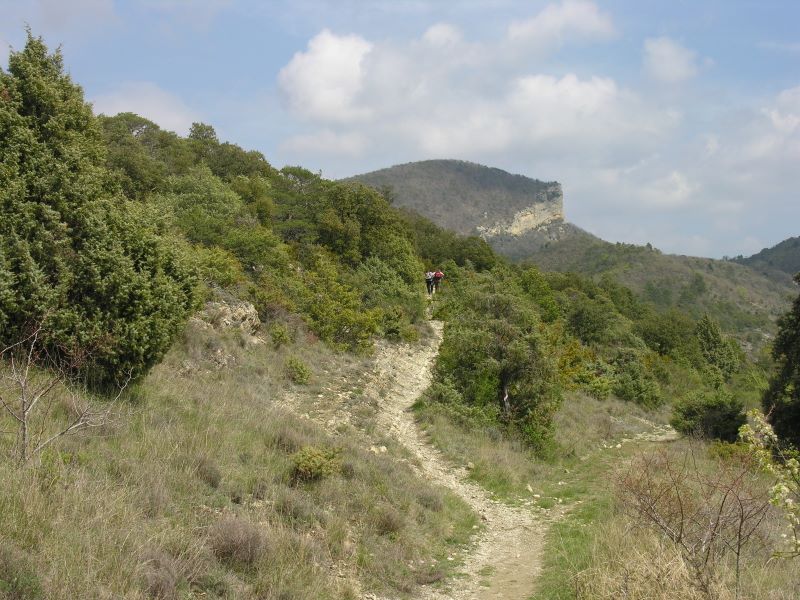 p0650c23_13_.jpg (large)