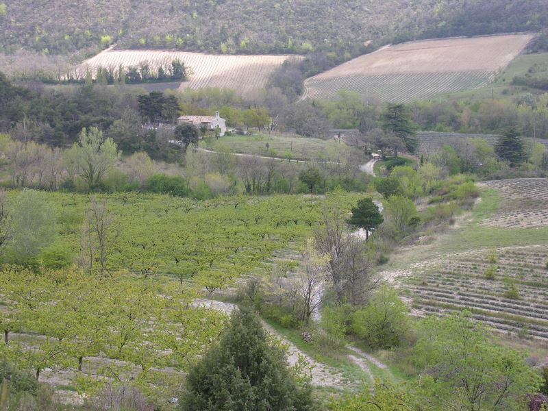 p0660c23_15_.jpg (large)