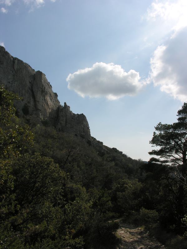 p0670c23_23_.jpg (large)