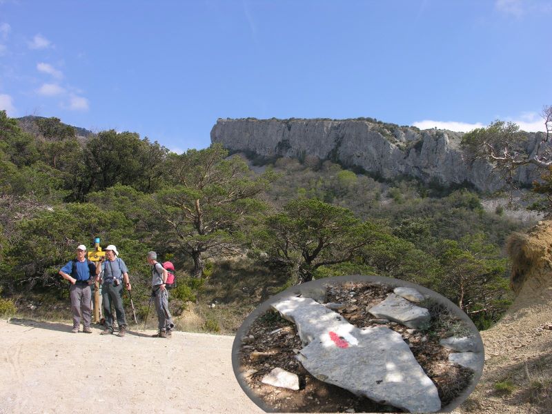 p0670cmarque23_17_.jpg (large)