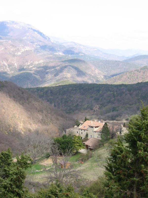 p0790x6058.jpg (large)