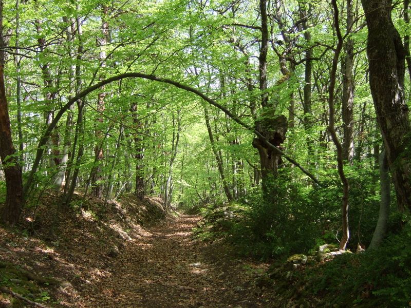 p0820g2015.jpg (large)