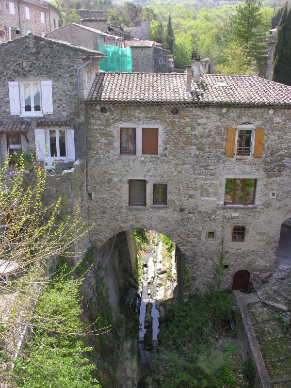 p0900c25_14_.jpg (large)