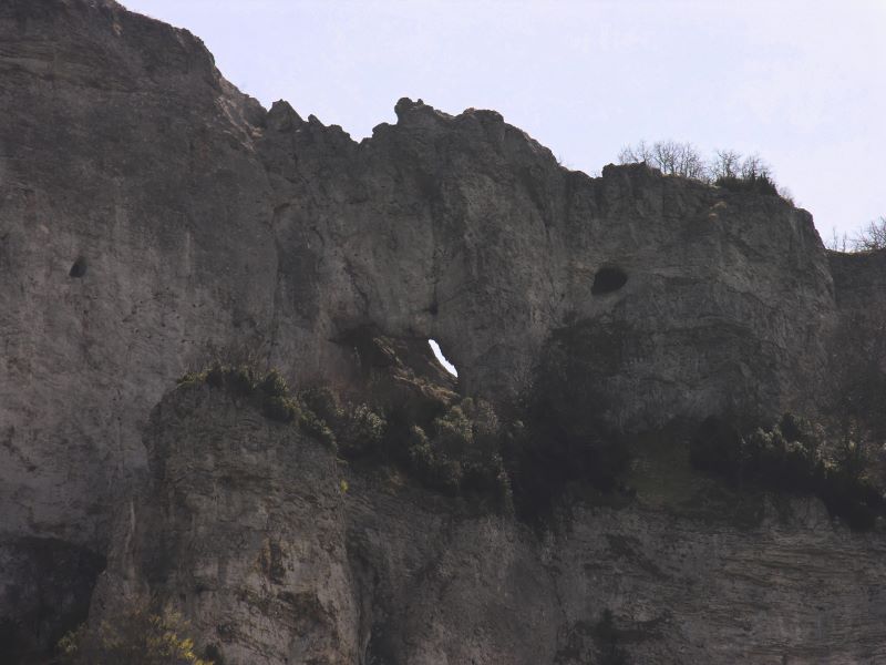 p0960c25_29_.jpg (large)