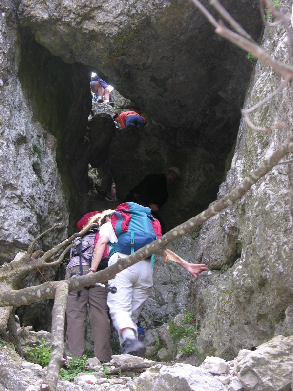 p0990c25_33_.jpg (large)