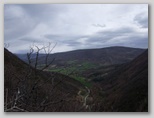 p0110g1835.jpg