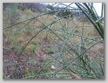 p0220x6002.jpg