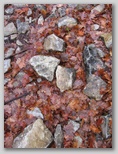 p0230x6003.jpg