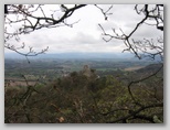p0320x6013.jpg