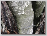 p0510x6028.jpg