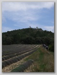 p0640g1947.jpg
